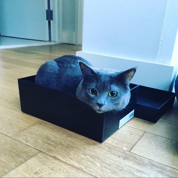 Meet your Posher, Alena - Picture 2 of 4